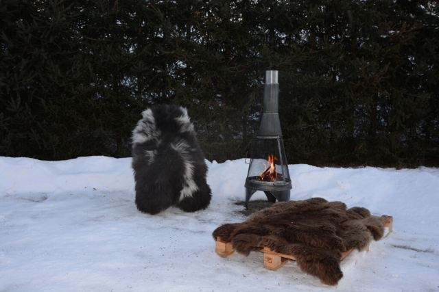 Rarität Tiroler Steinschaf (öko)